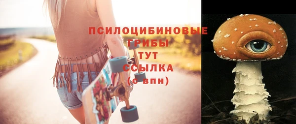 МДПВ Абинск